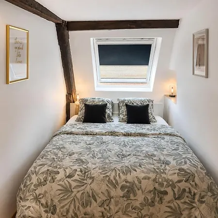 Le Duplex Centre Gare A Pied Thionville